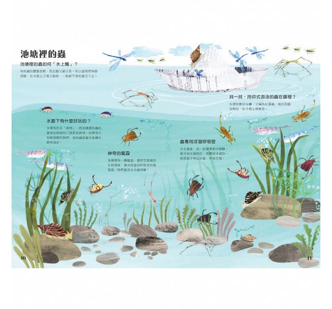 蟲蟲大書BUGS
